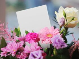 Most Amazing Flowers