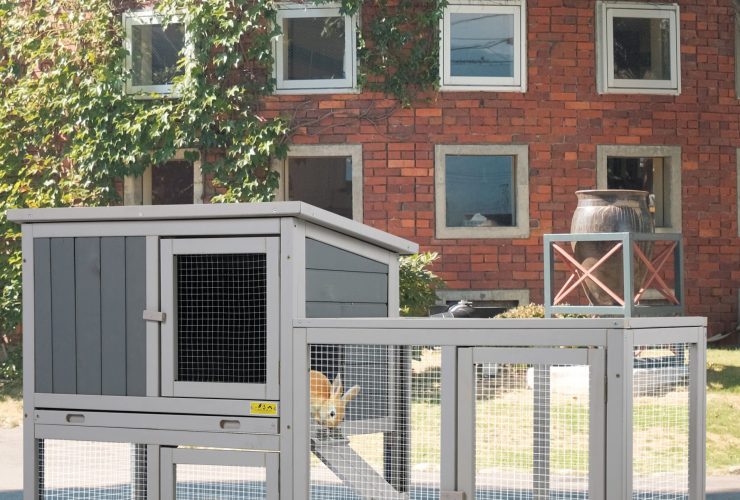Give Some Recommended Rabbit Hutch With Detachable Tray